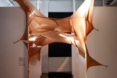 IN_3686